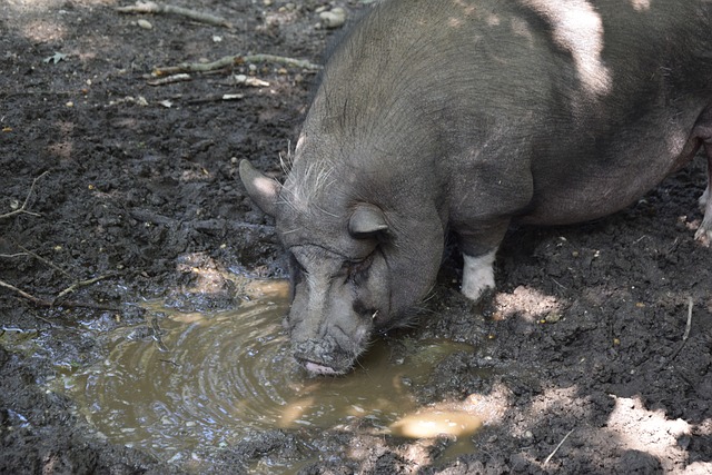 首发位置 首发位置