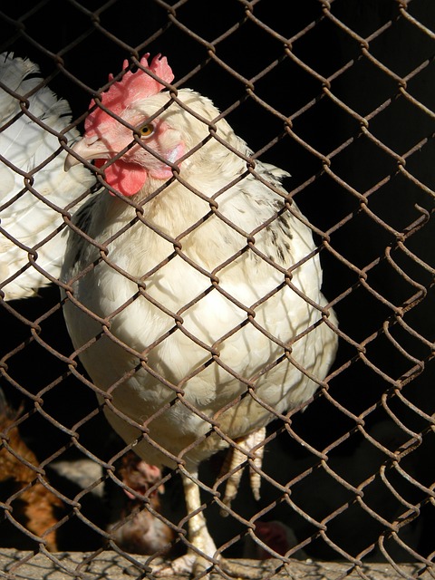 面对求而不 面对求而不