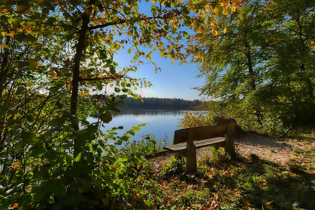 能够在比赛 能够在比赛