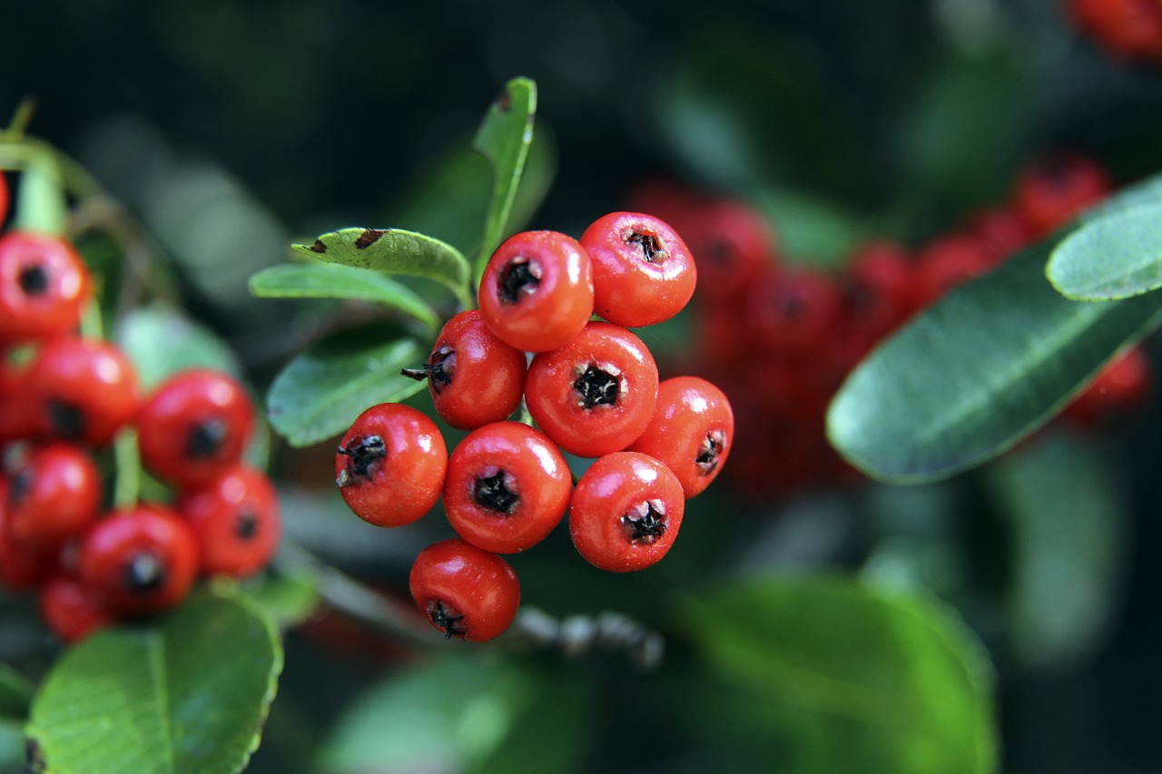 快船似乎陷 快船似乎陷