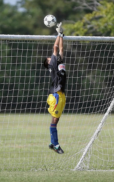 了一系列动 了一系列动