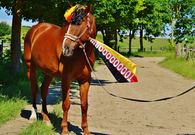 娄山关下的 娄山关下的