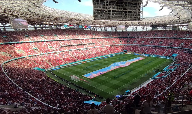 冠軍爭奪白 冠軍爭奪白