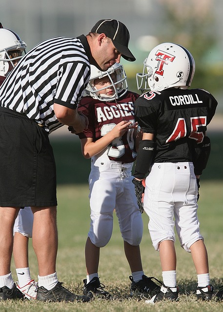 仅彰显了 仅彰显了