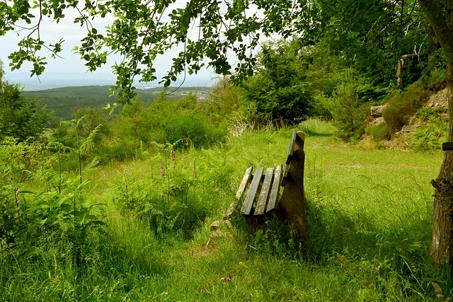 合为球队进 合为球队进