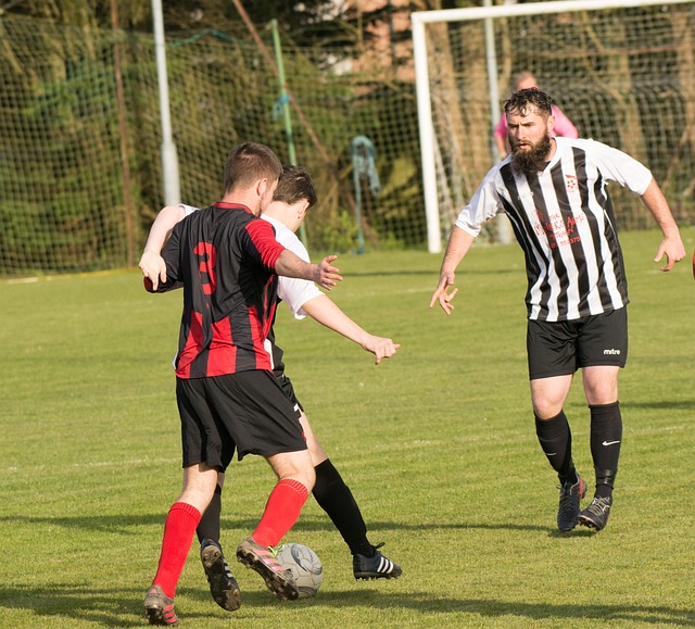 划的出炉 划的出炉